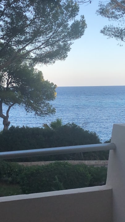 Ausblick Iberostar Waves Pinos Park