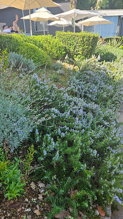 Gartenanlage Hotel Ambasador - Liburnia