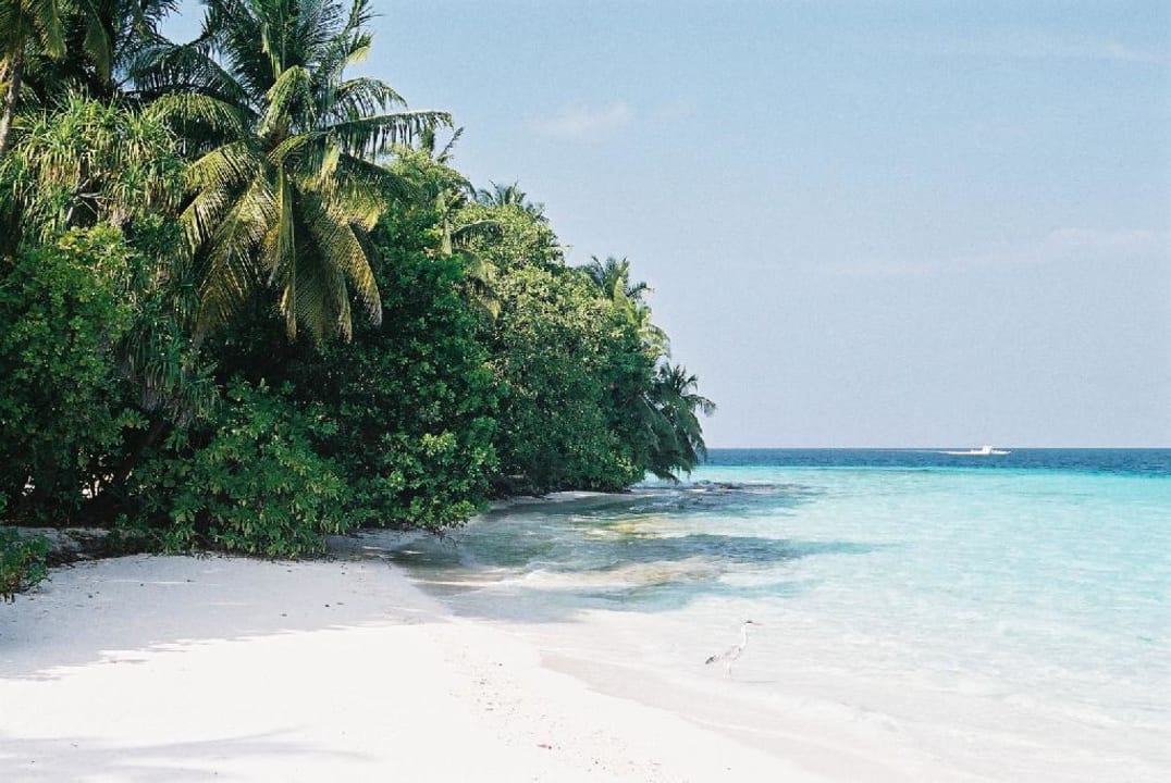 Strand beim Anlegesteg Fihalhohi Maldives