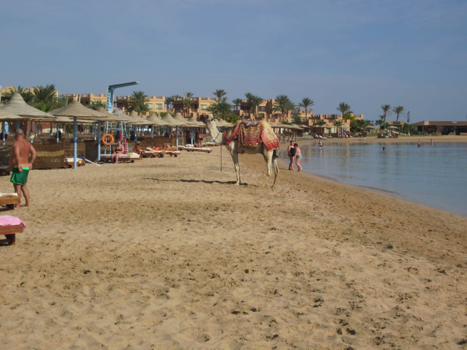 Strand links Imperial Shams Abu Soma