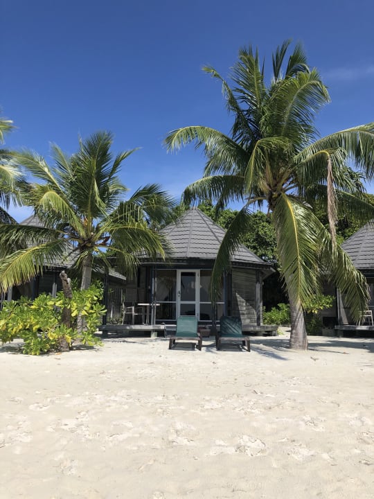 Zimmer Kuredu Island Resort & Spa