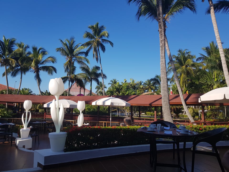 Gastro Grand Palladium Select Bávaro Resort & Spa