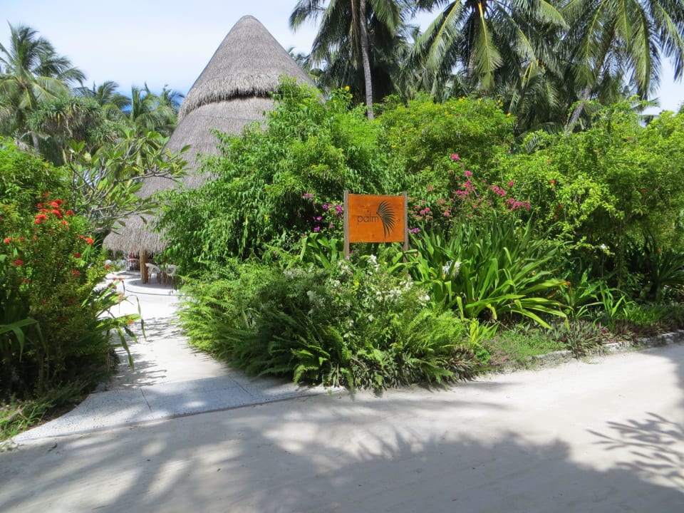 Restaurant "Palm" Kuramathi Maldives