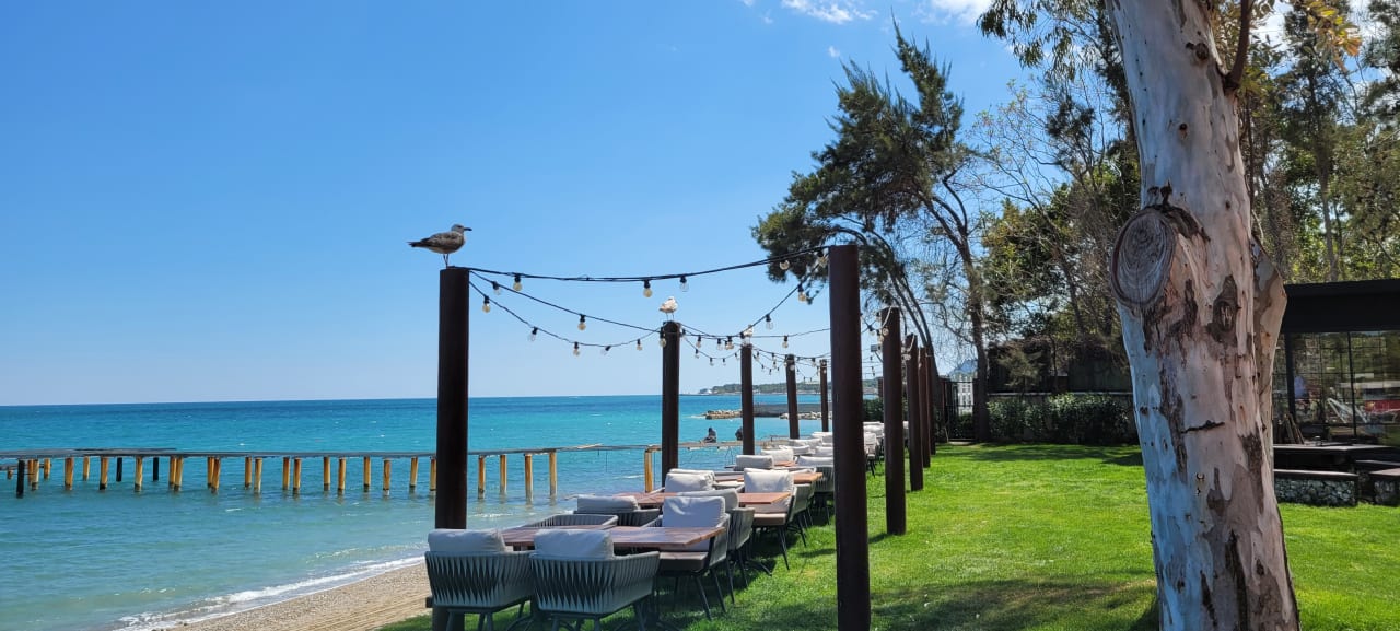 Strand TUI MAGIC LIFE Beldibi +16