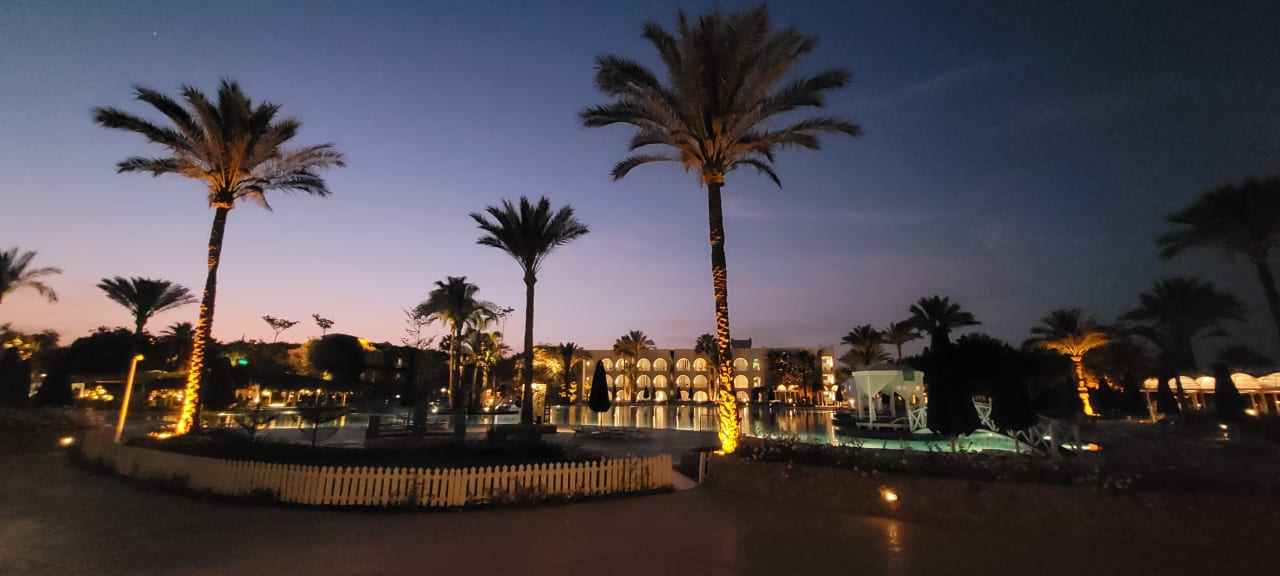 Gartenanlage Desert Rose