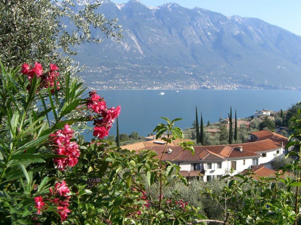 Blick zum See Hotel San Pietro