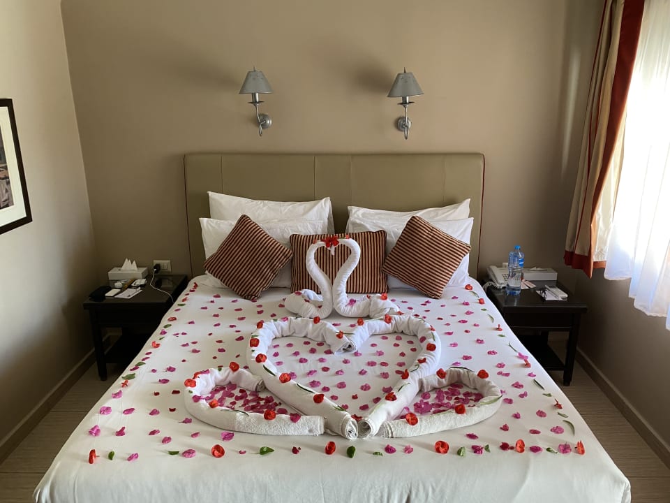 Zimmer Jaz Makadi Oasis Resort