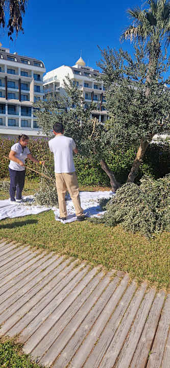 Gartenanlage Diamond De Luxe Hotel & Spa