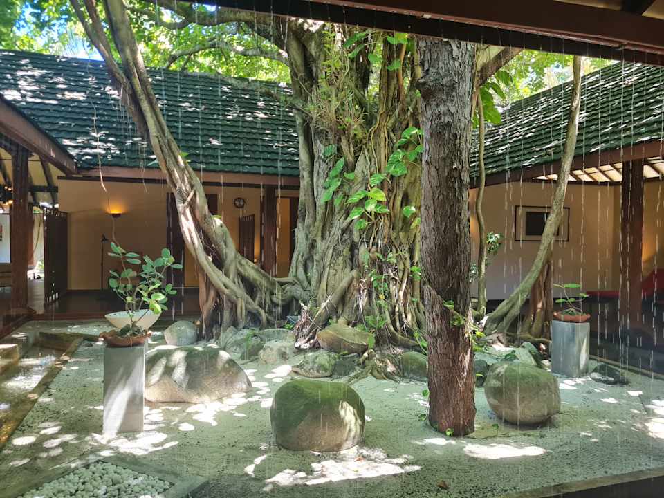 Gartenanlage Adaaran Select Meedhupparu Island Resort - Premium All Inclusive