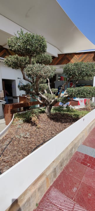 Gartenanlage High Beach Resort