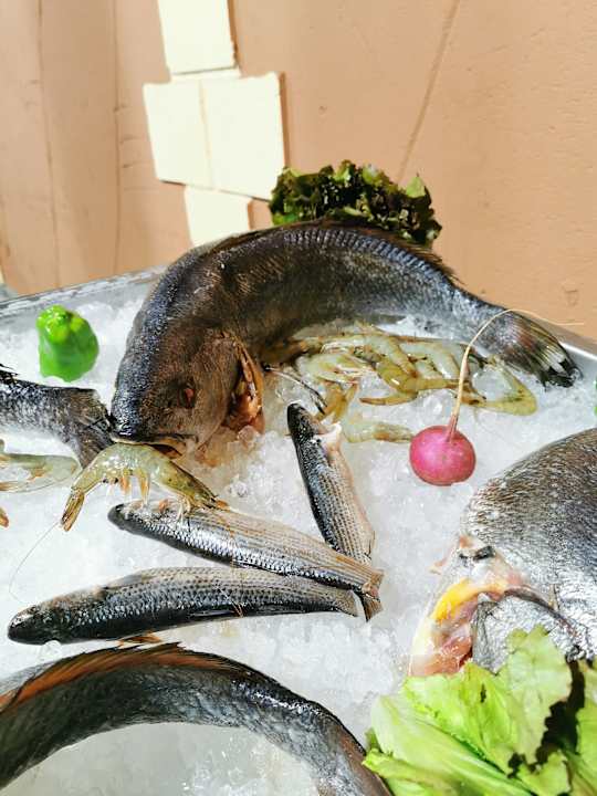 Gastro Pickalbatros Villaggio Resort - Portofino