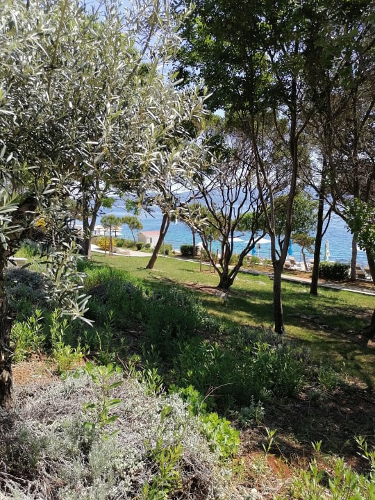 Gartenanlage Valamar Girandella Designed for Adults