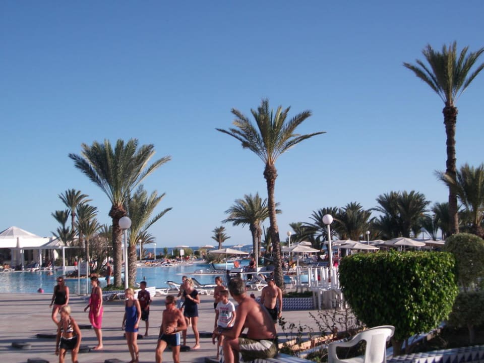 Pool inklusive Palmen Hotel El Mouradi Djerba Menzel