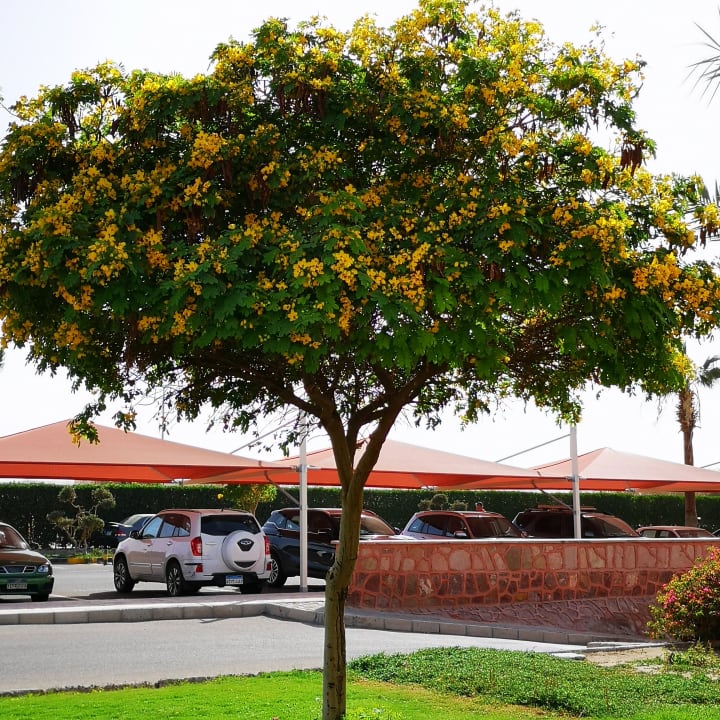 Sonstiges Jasmine Palace Resort & Spa