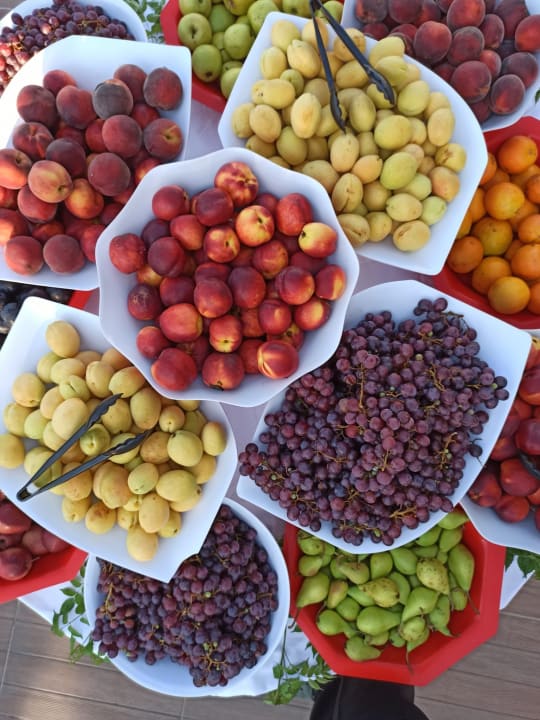 Gastro FUN&SUN Smart Hane Sun Hotel