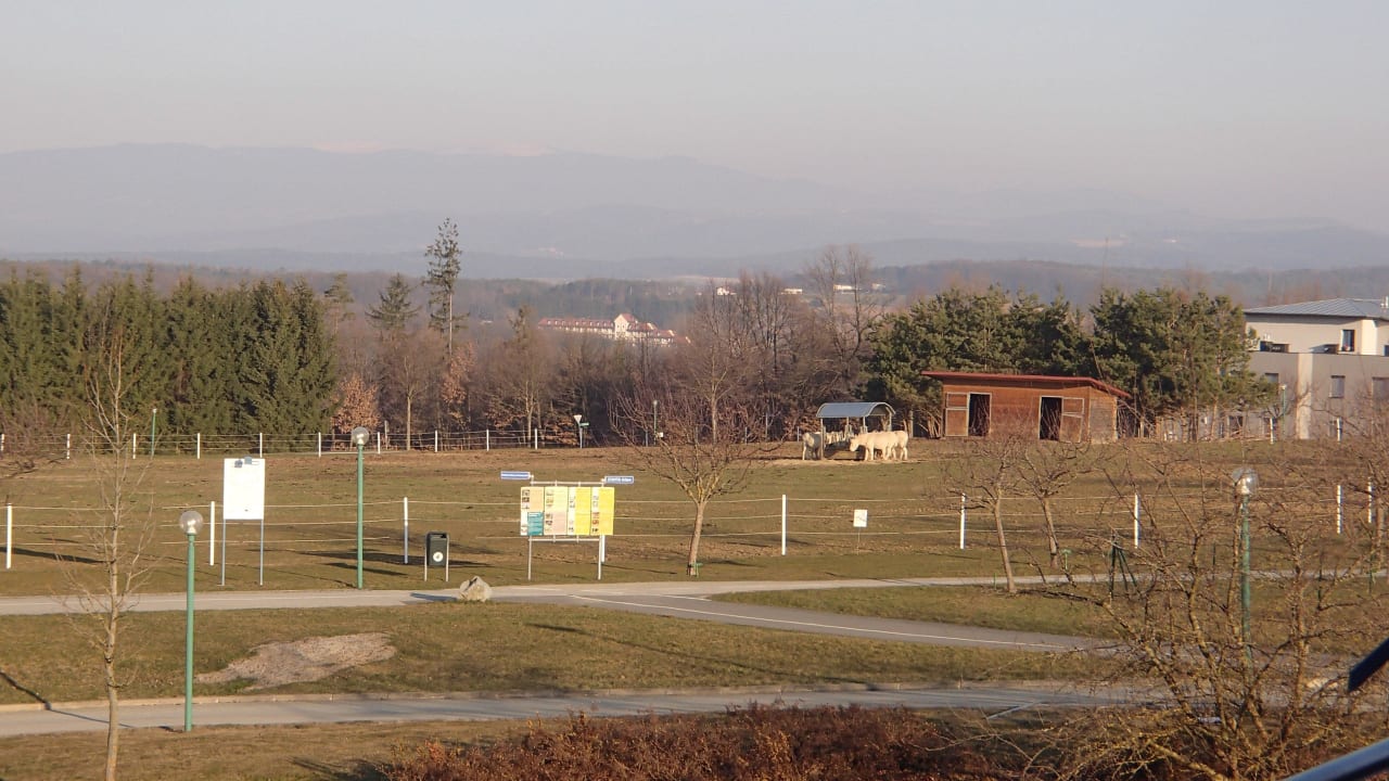 Tiere Reiters Finest Family Hotel