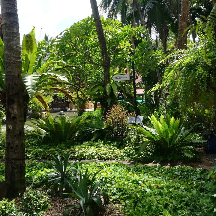 Gartenanlage Avani Pattaya Resort