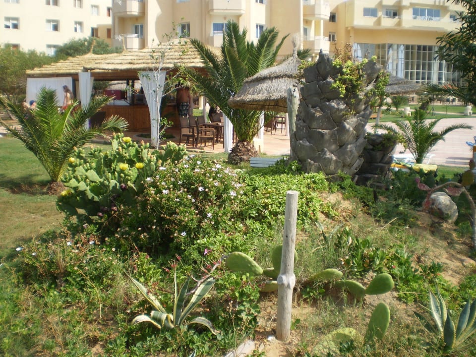 Сад Skanes Serail Aquapark