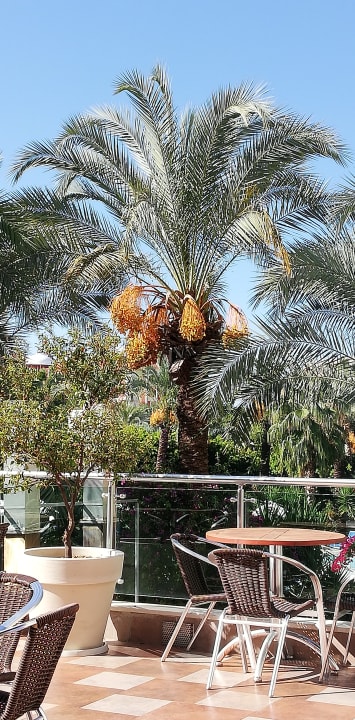 Gastro Calimera Hane Garden