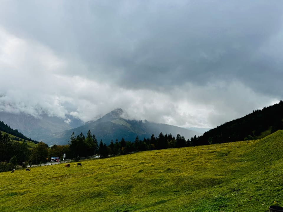 Ausblick Oberjoch - Familux Resort