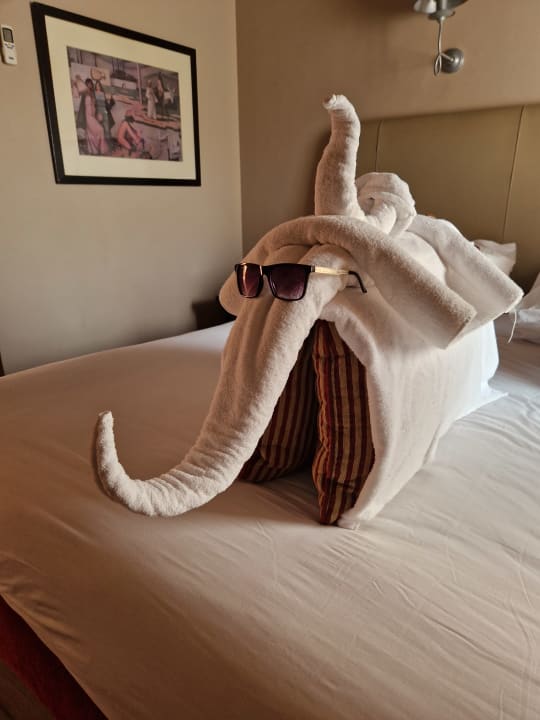 Zimmer Jaz Makadi Oasis Resort