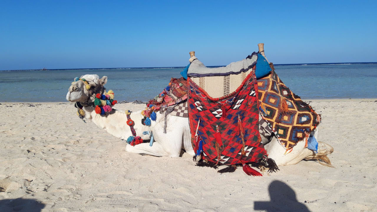 Strand Three Corners Equinox Beach Resort