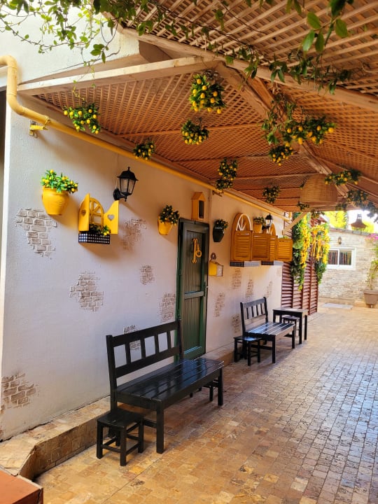 Gartenanlage Hane Family Resort