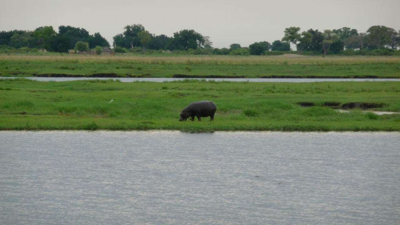Der Blick von der Terrasse. Hotel Chobe Chilwero
