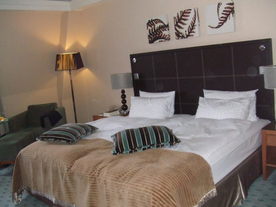 Zimmer Hilton Dresden