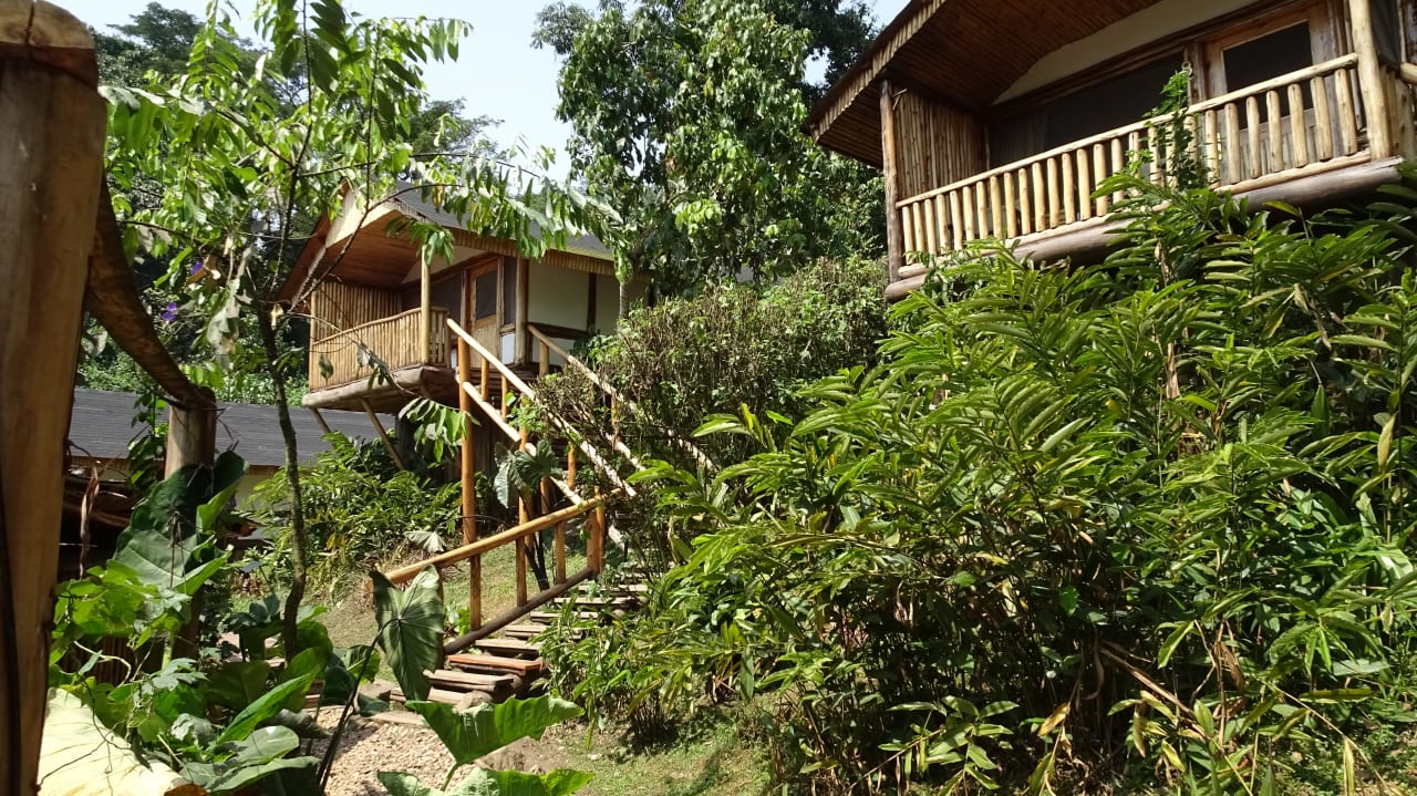 Außenansicht Buhoma Lodge