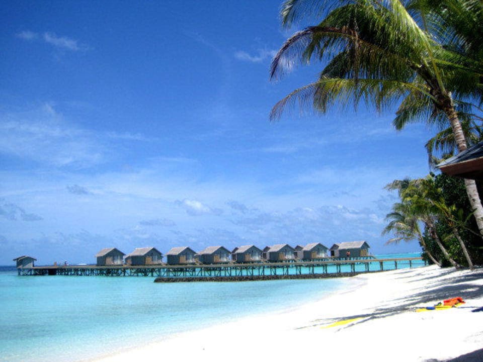 Wie man sich das auf den Malediven vorstellen kann Centara Ras Fushi Resort & Spa Maldives