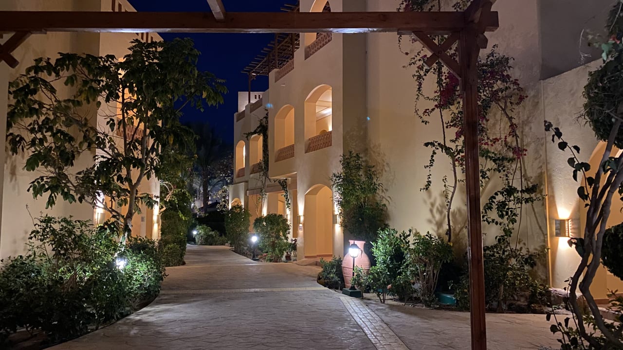 Gartenanlage Steigenberger Coraya Beach - Adults only