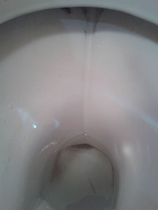 Täglicher Anblick meiner Hozelzimmertoilette Landhotel Maiergschwendt