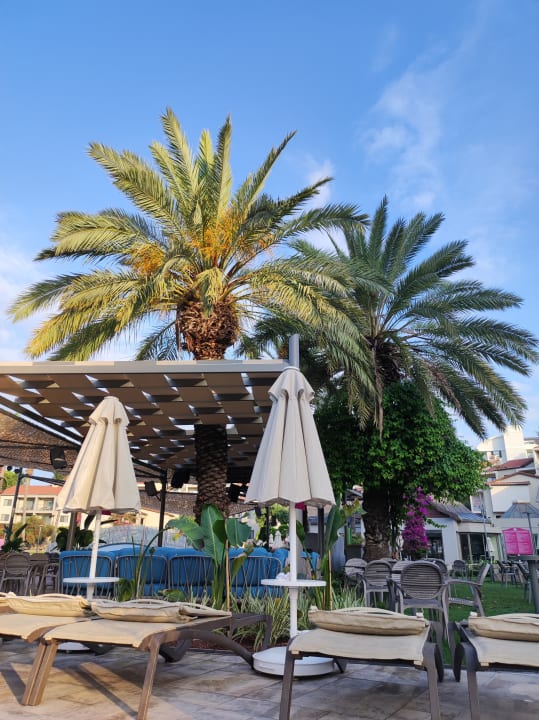 Pool Arum Barut Collection