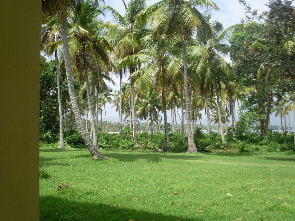 Ausblick vom Zimmer Wyndham Alltra Samana