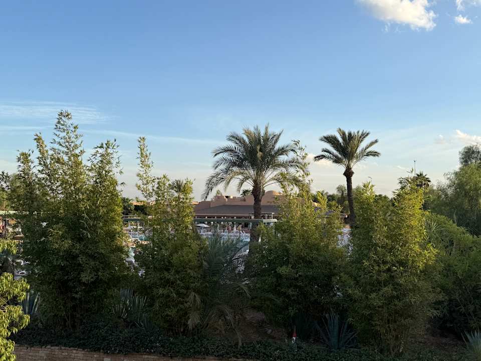 Ausblick Hotel Riu Tikida Palmeraie