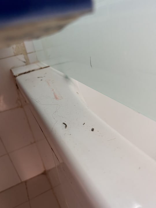 Zimmer Zenon Hotel Djerba