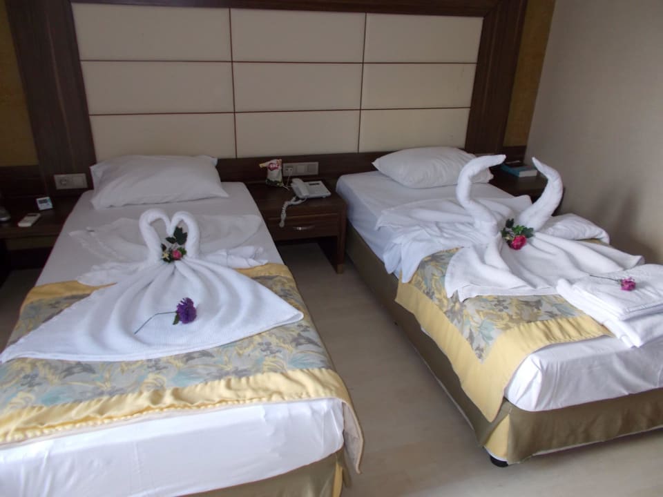 Very Nice  NoxInn Club