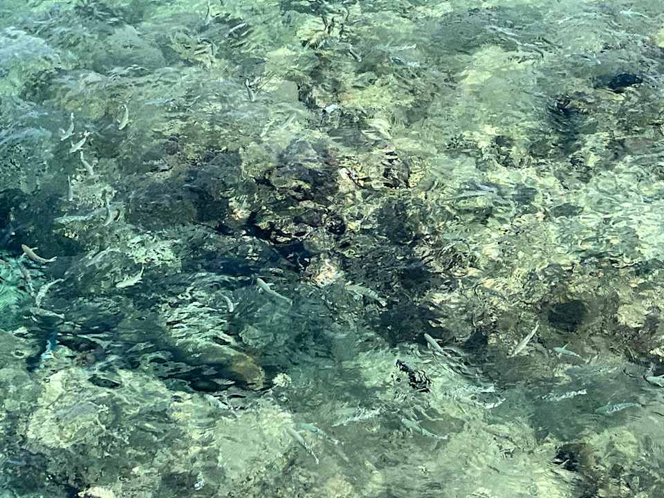 Strand Pickalbatros Villaggio Resort - Portofino