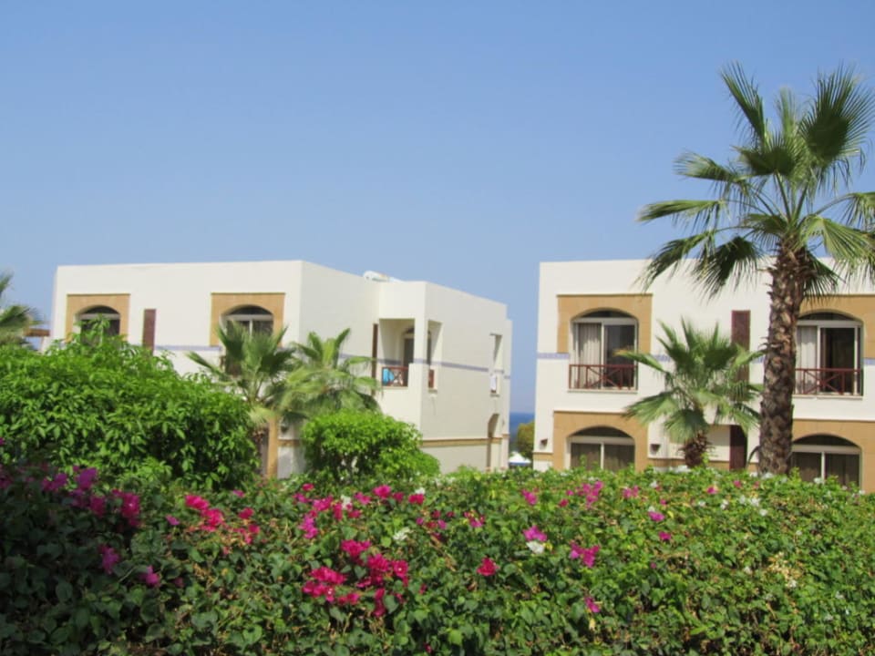 Hotel Shores Aloha Amphoras Blu