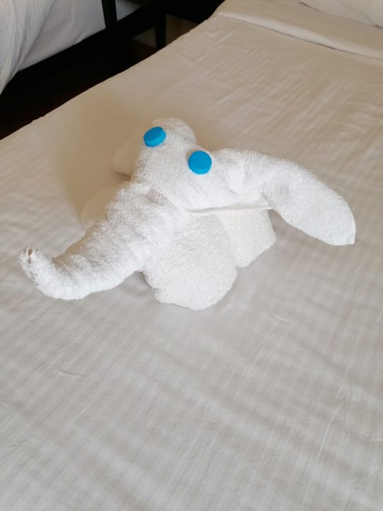 Zimmer Three Corners Sea Beach Resort