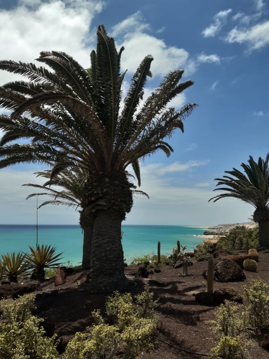 Ausblick R2 Pajara Beach