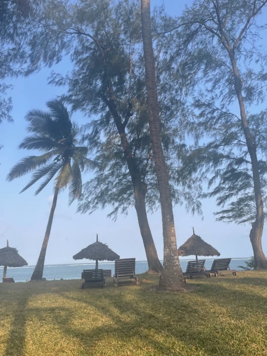 Ausblick Hotel Diani Sea Lodge