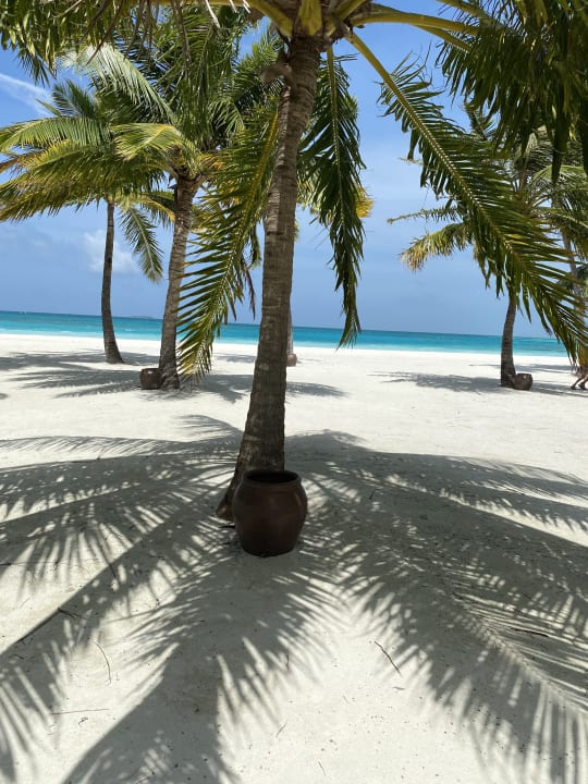 Strand Meeru Maldives Resort Island