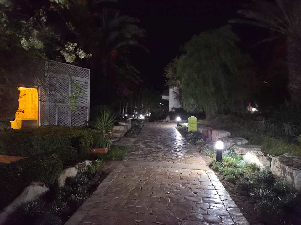 Gartenanlage TUI MAGIC LIFE Africana