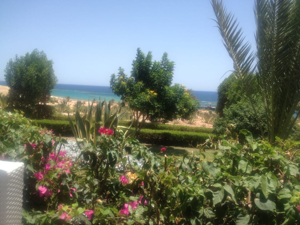 Gartenanlage Fantazia Resort Marsa Alam