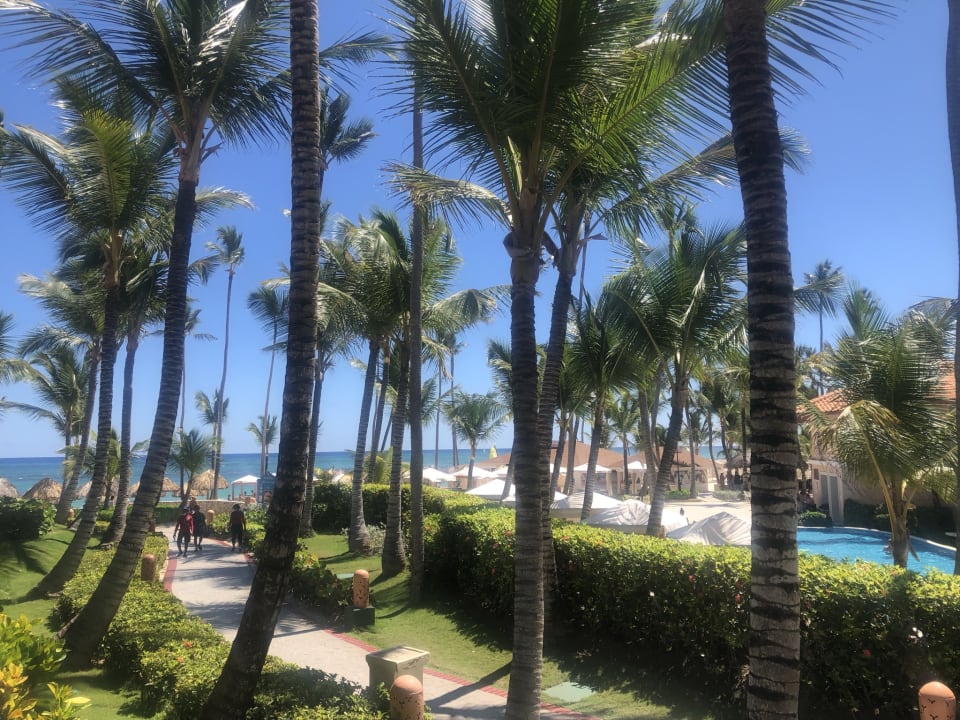 Gartenanlage Majestic Elegance Punta Cana