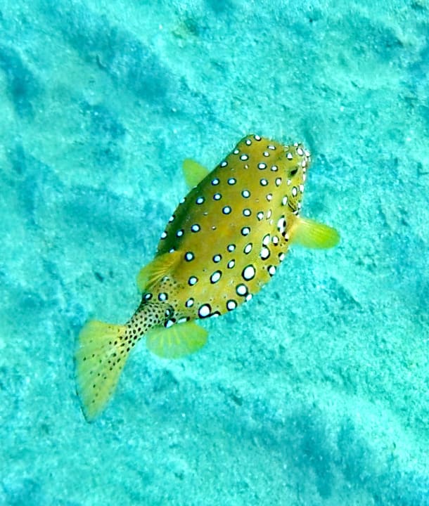 Sport & Freizeit Hilton Marsa Alam Nubian Resort