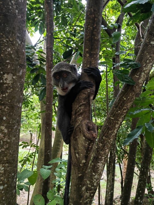 Gartenanlage Hotel Papillon Lagoon Reef