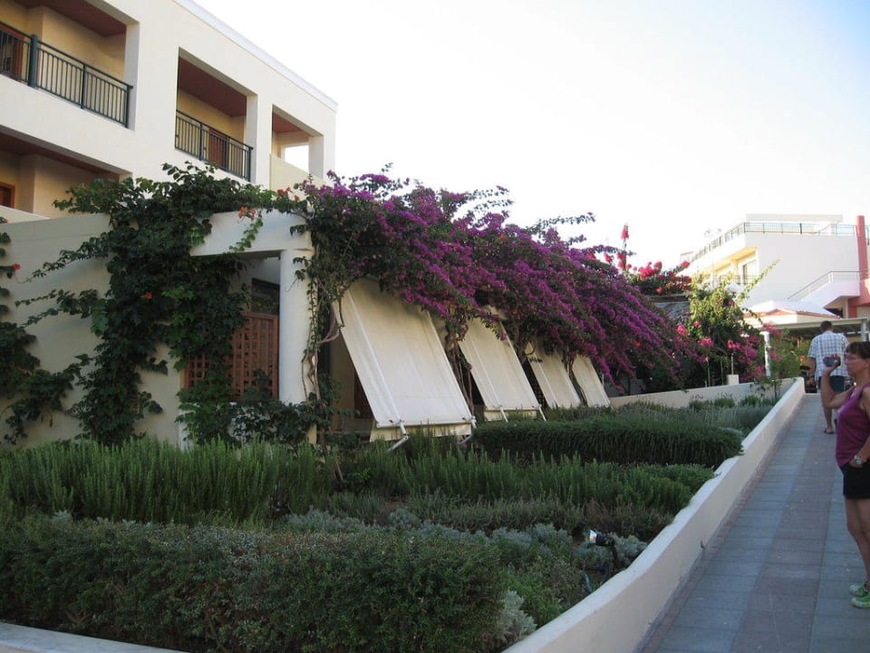 Dunkelkammer Hydramis Palace Beach Resort